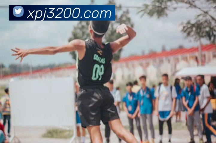 澳门新葡京网站入口平台生态图